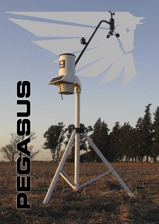 pegasus-leading03-1